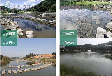 液膜分離技術(shù)在廢水處理中的應用